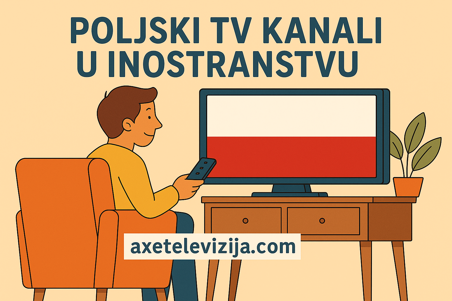 poljski tv kanali u inostranstvu